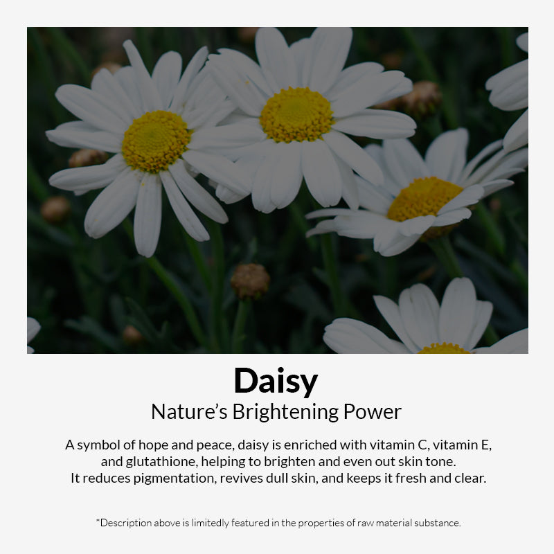 mixsoon Daisy Essence - 100ml